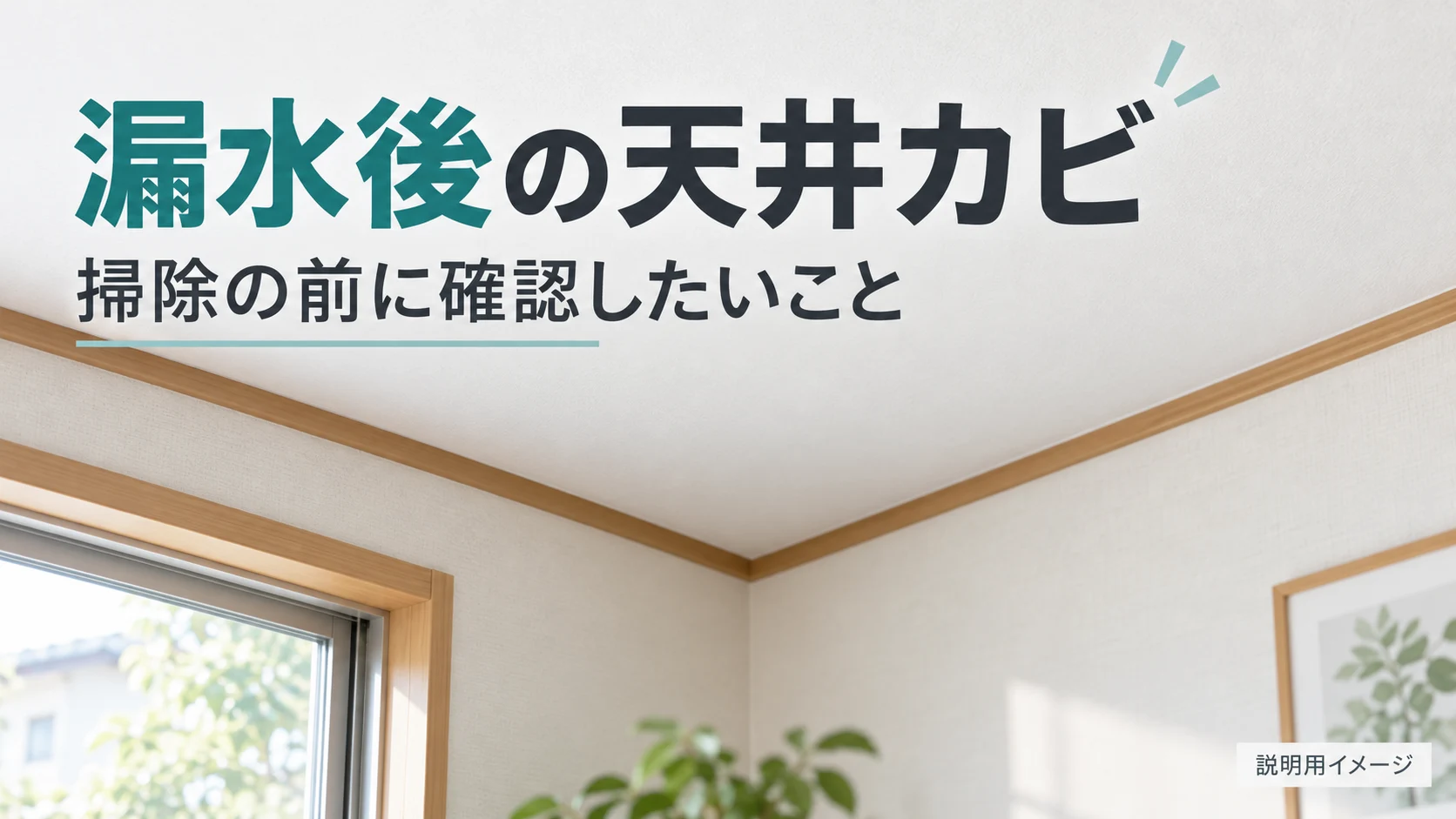 漏水後の天井カビ、掃除の前に確認したいこと