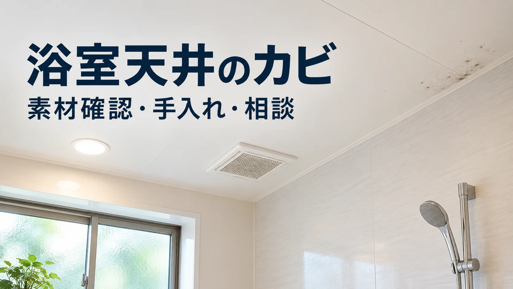 浴室の天井にカビらしい黒い跡があるとき|掃除できる範囲と専門相談の選び方