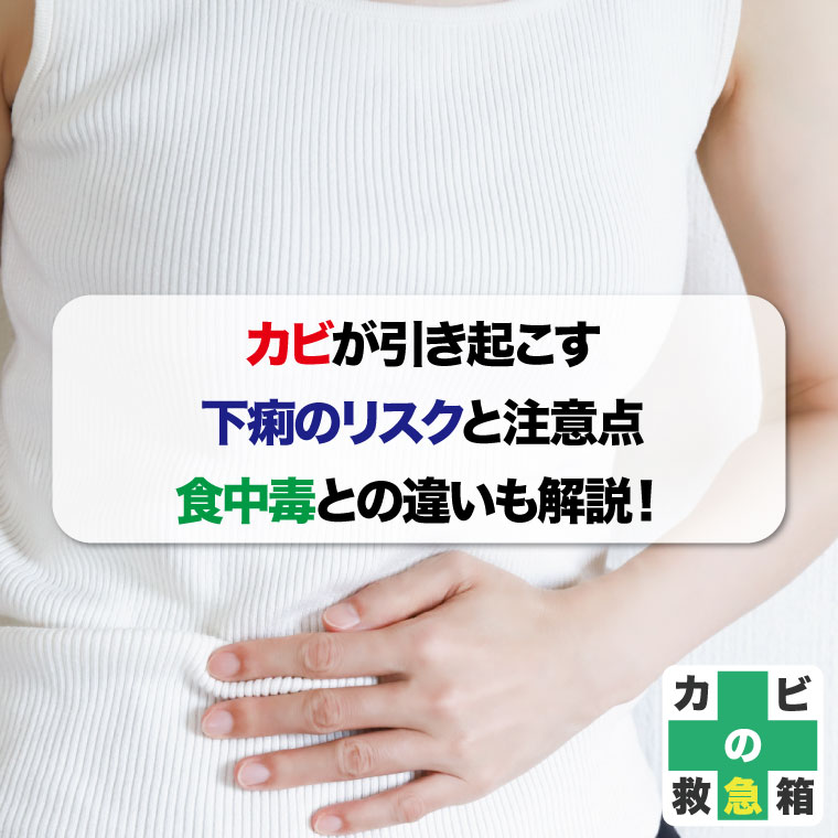 カビが引き起こす下痢のリスクと注意点|食中毒との違いも解説!おすすめカビ取り業者はカビバスターズ
