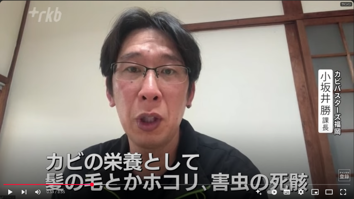 【メディア情報】カビバスターズ福岡