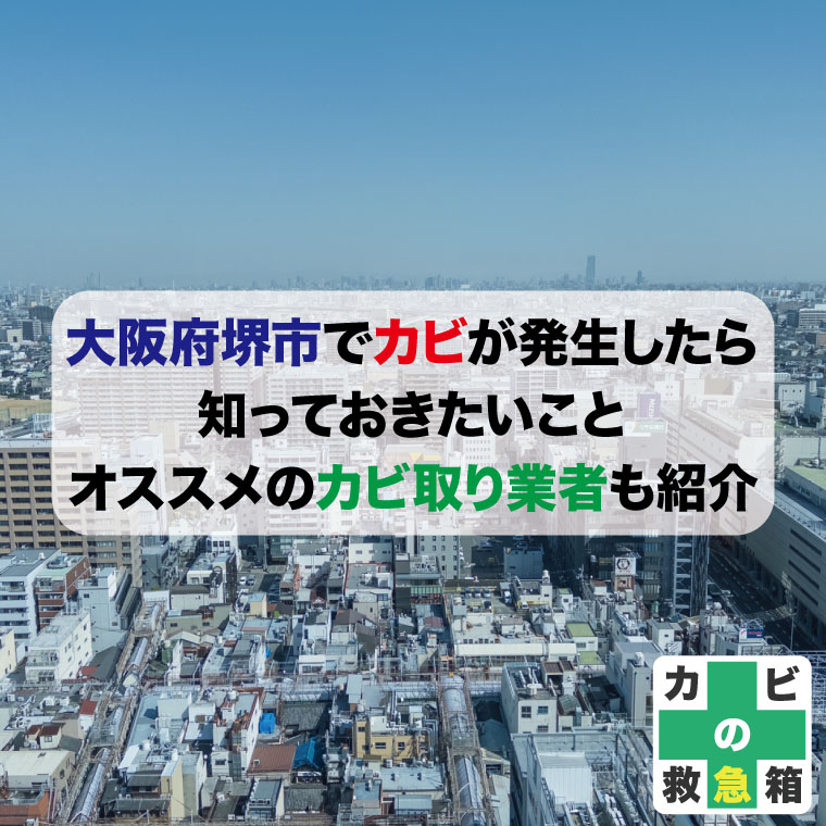 【必見】大阪府堺市でカビが発生したら知っておきたいこと - オススメのカビ取り業者も紹介