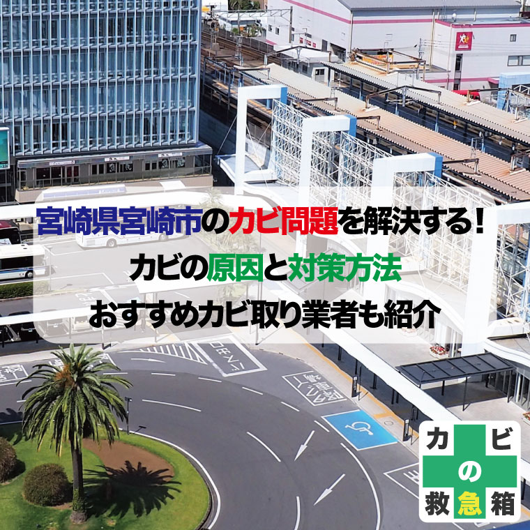 宮崎県宮崎市のカビ問題を解決する！カビの原因と対策方法おすすめカビ取り業者はカビバスターズ