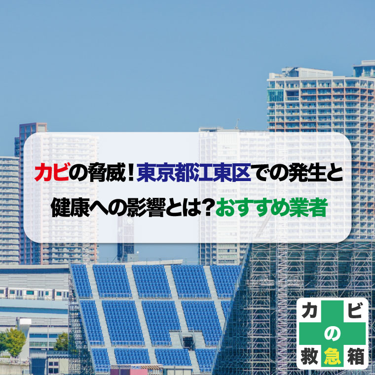 カビの脅威!東京都江東区での発生と健康への影響とは?おすすめ業者はカビバスターズ