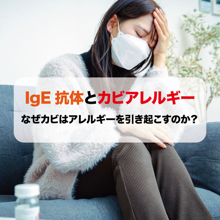 IgE抗体とカビアレルギー
