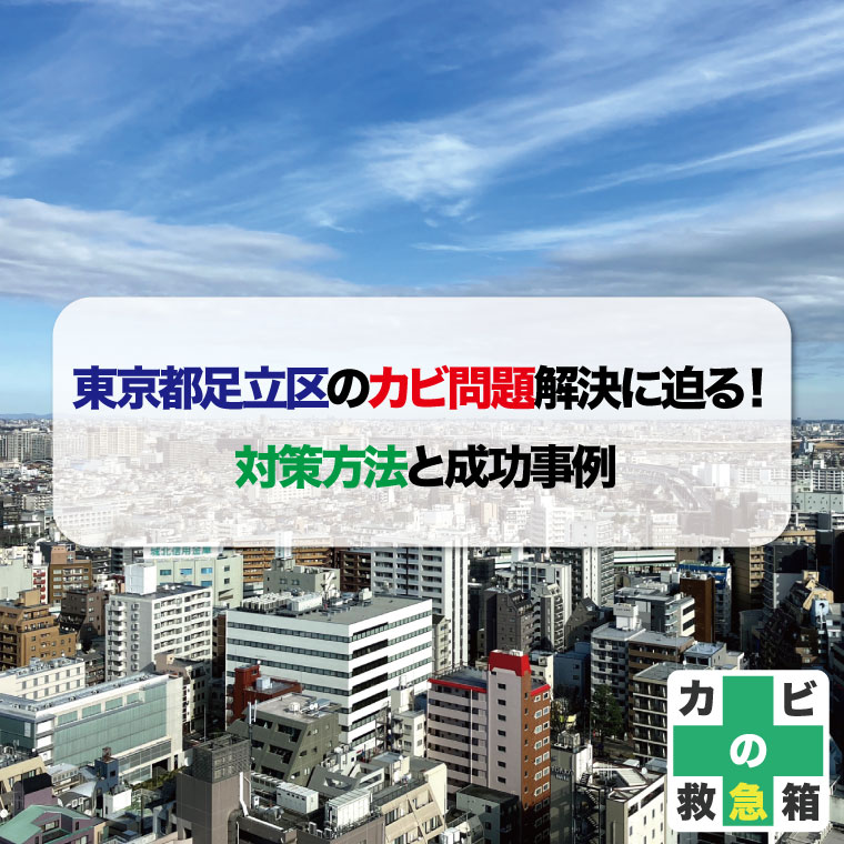 東京都足立区のカビ問題解決に迫る！対策方法と成功事例とおすすめカビ取り業者