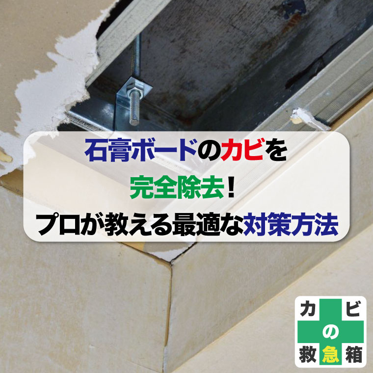 石膏ボードのカビを完全除去!プロが教える最適な対策方法はカビバスターズ