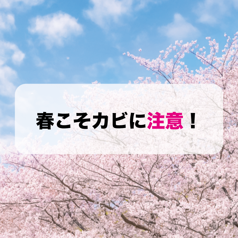 春のカビ