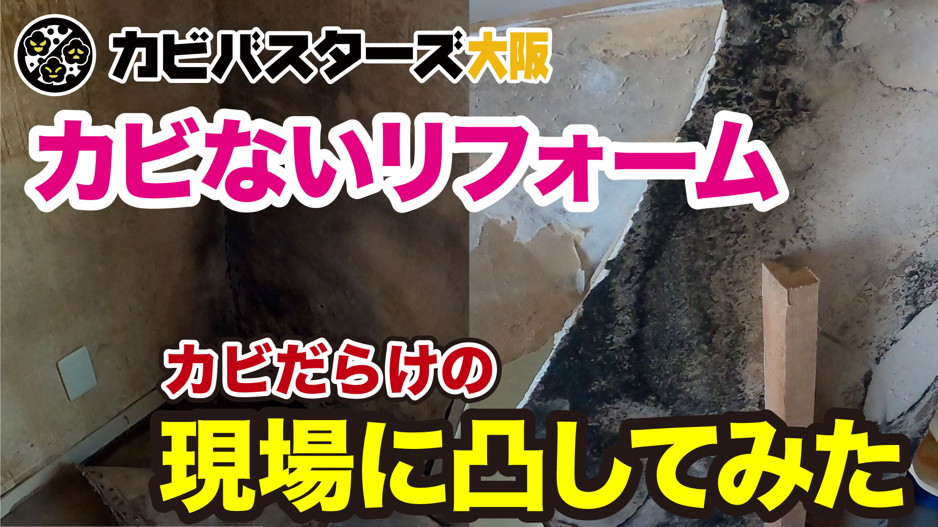 カビバスターズ大阪カビないリフォーム現場