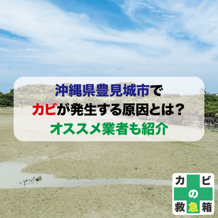沖縄県豊見城市でカビが発生する原因とは？