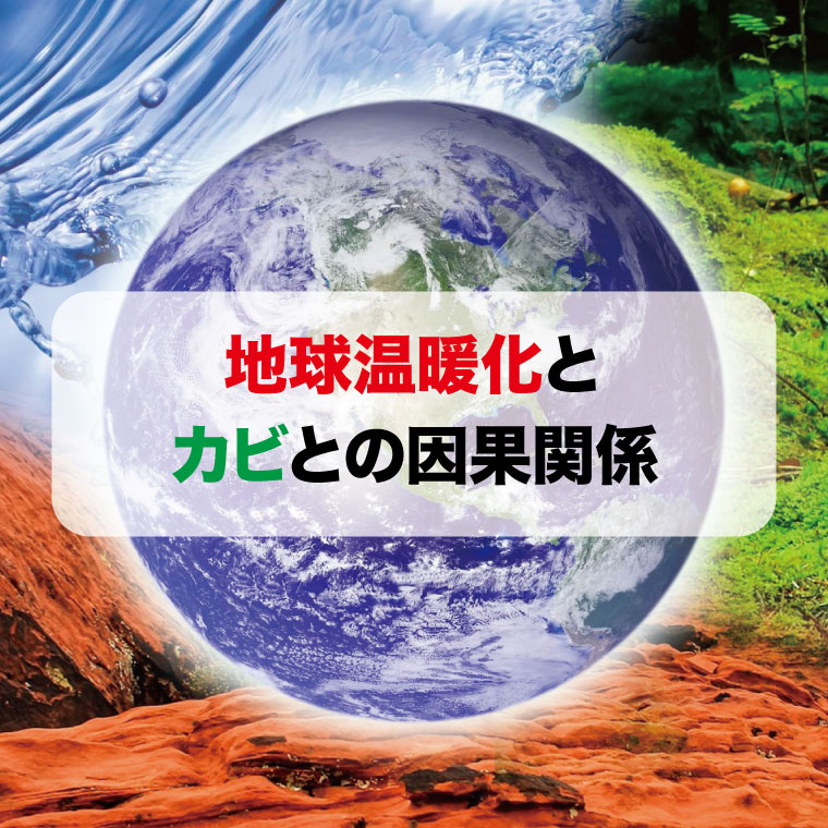 地球温暖化とカビの因果関係