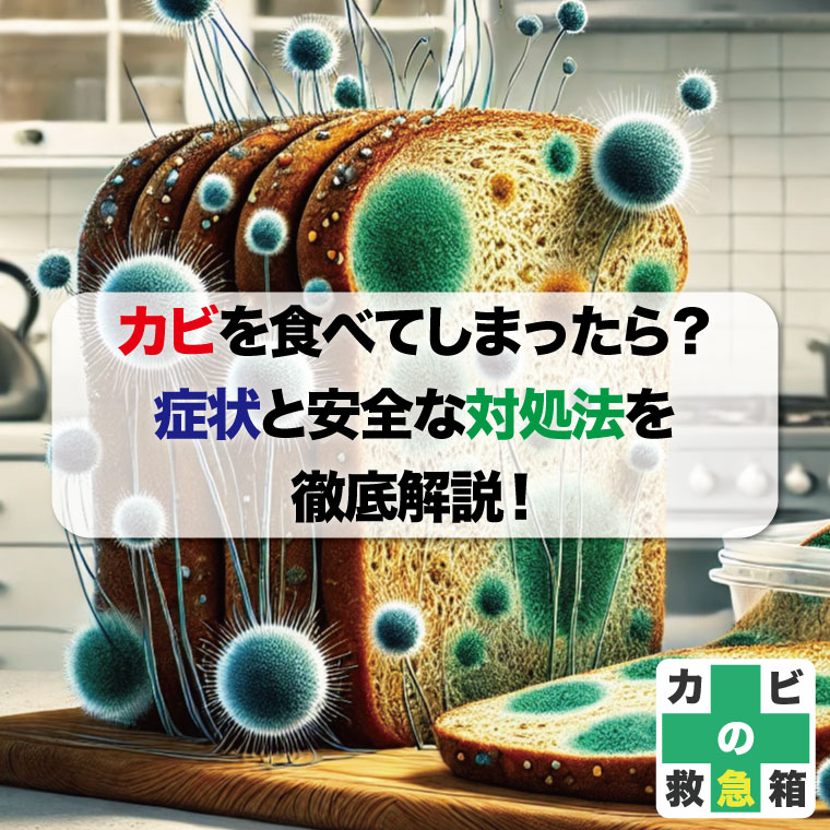 カビを食べてしまったら？症状と安全な対処法を徹底解説！はカビバスターズ