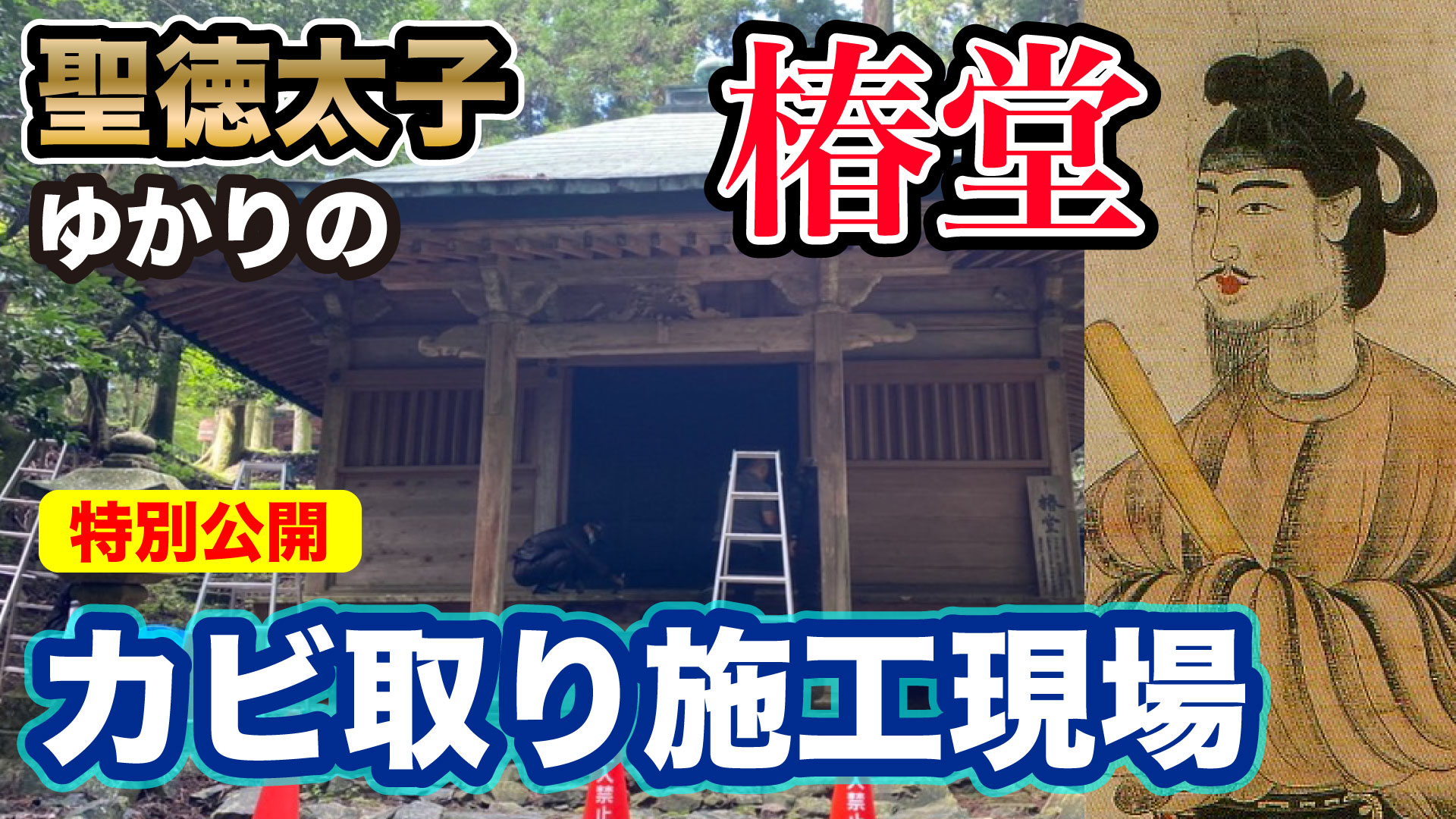 延暦寺の椿堂カビ取り施工動画