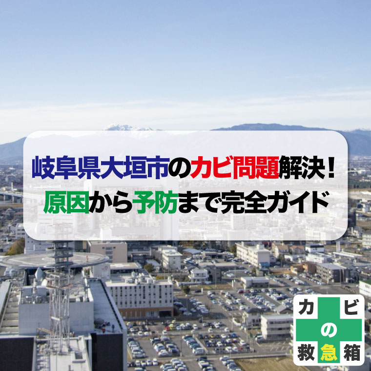岐阜県大垣市のカビ問題解決！原因から予防まで完全ガイド　おすすめカビ取り業者はカビバスターズ