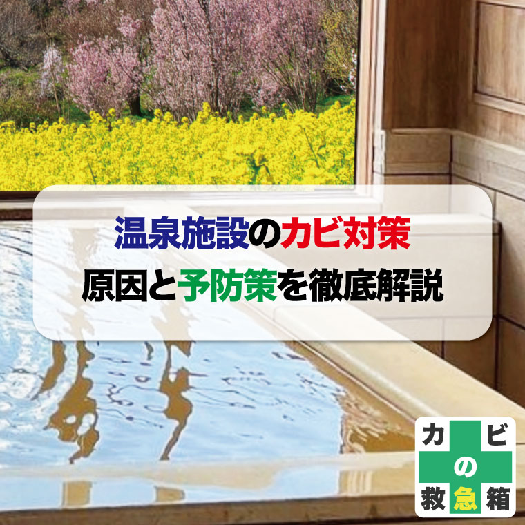 温泉施設のカビ対策:原因と予防策を徹底解説はカビバスターズ