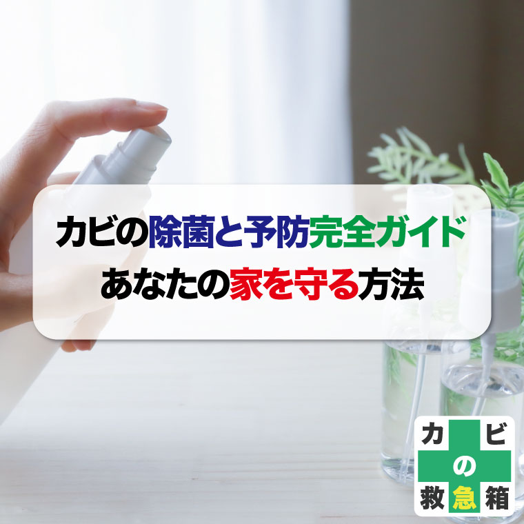 カビの除菌と予防完全ガイド:あなたの家を守る方法はカビバスターズ