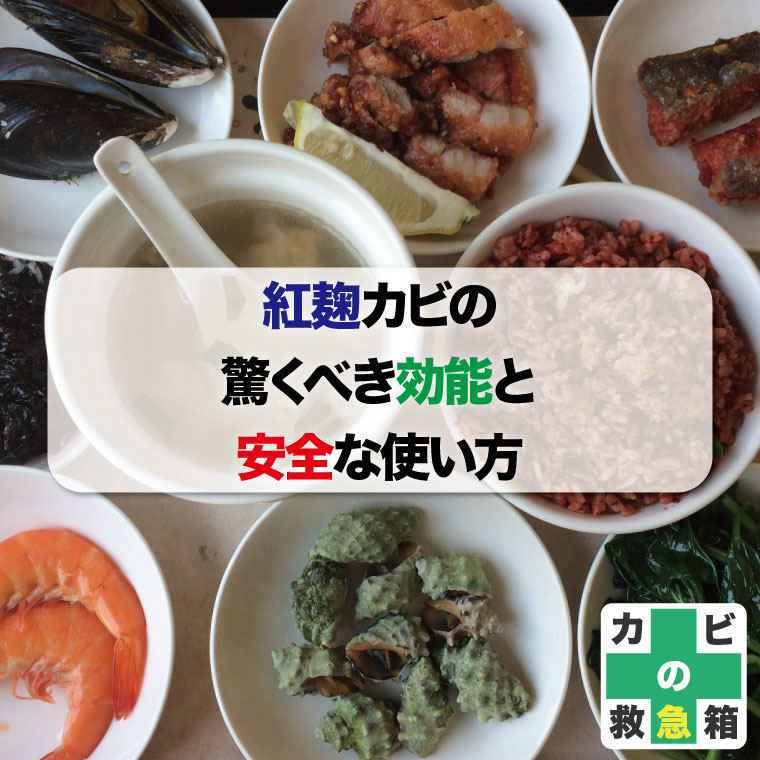紅麹カビの驚くべき効能と安全な使い方はカビ取りカビ対策専門業者のカビバスターズへ