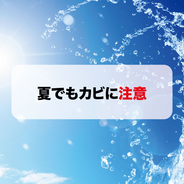 夏カビはカビバスターズ