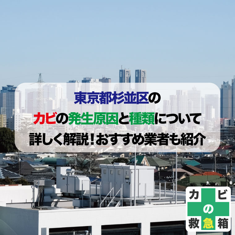 東京都杉並区のカビの発生原因と種類について詳しく解説！おすすめ業者はカビバスターズ