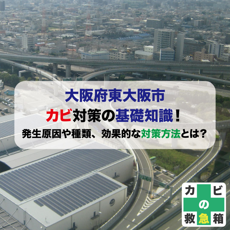 大阪府東大阪市のカビ対策の基礎知識！発生原因や種類、効果的な対策方法とは？オススメのカビ取り業者まで