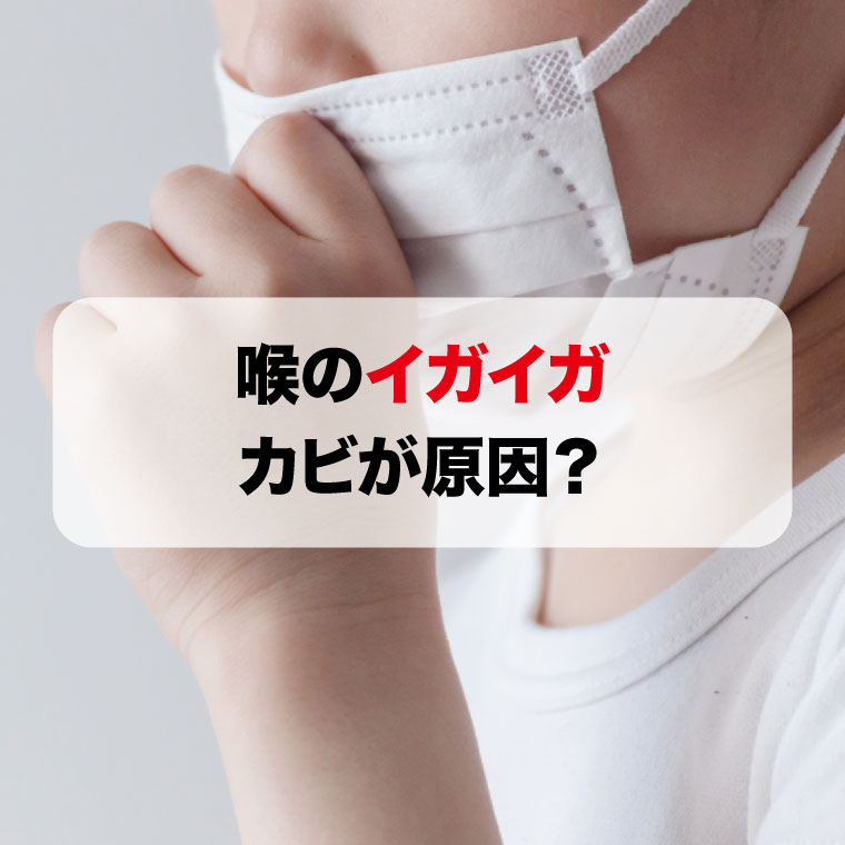 喉のイガイガはカビが原因かも