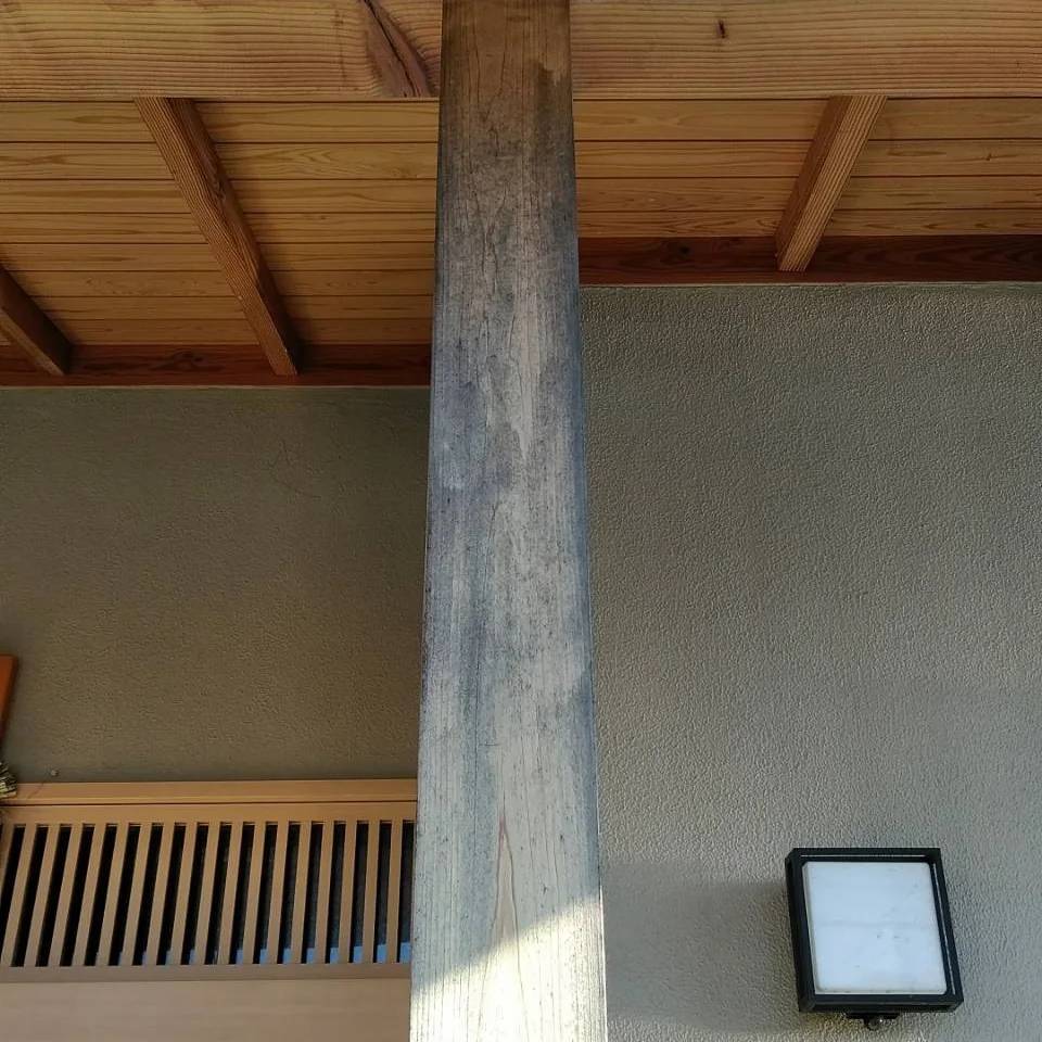 木造住宅のカビ取り