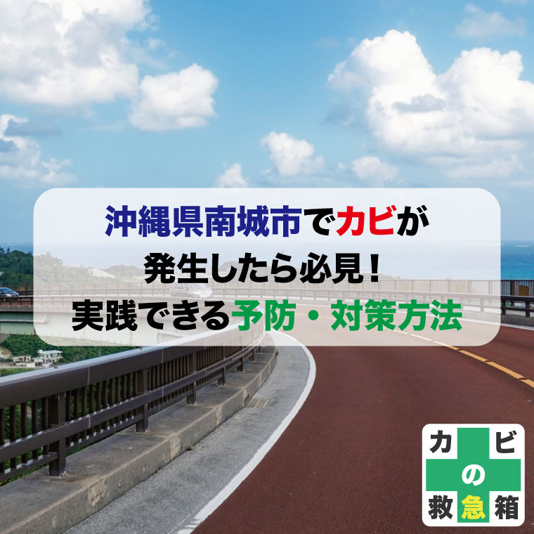 沖縄県南城市でカビが発生したら必見！実践できる予防・対策方法まとめ！カビ取りおすすめ業者はカビバスターズ