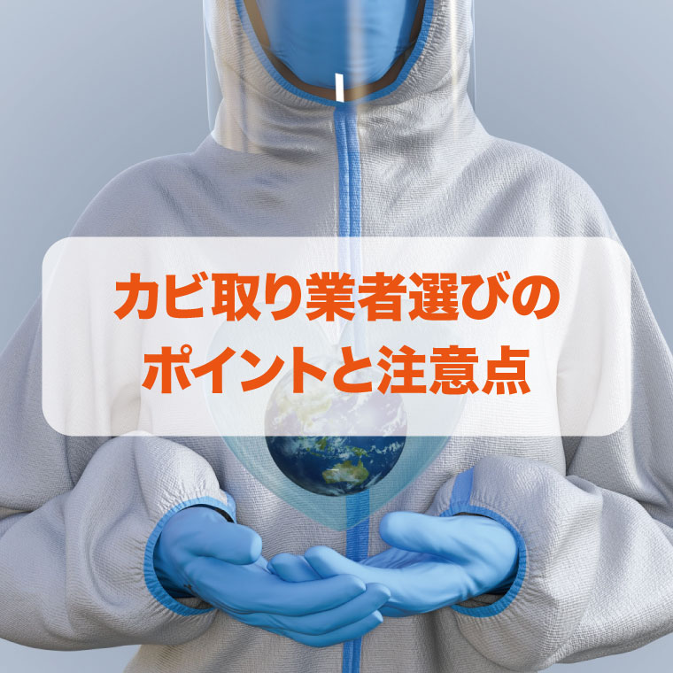 カビ取り業者選びのポイントと注意点