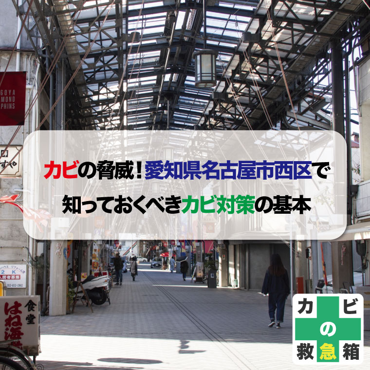 カビの脅威！愛知県名古屋市西区で知っておくべきカビ対策の基本はカビバスターズ