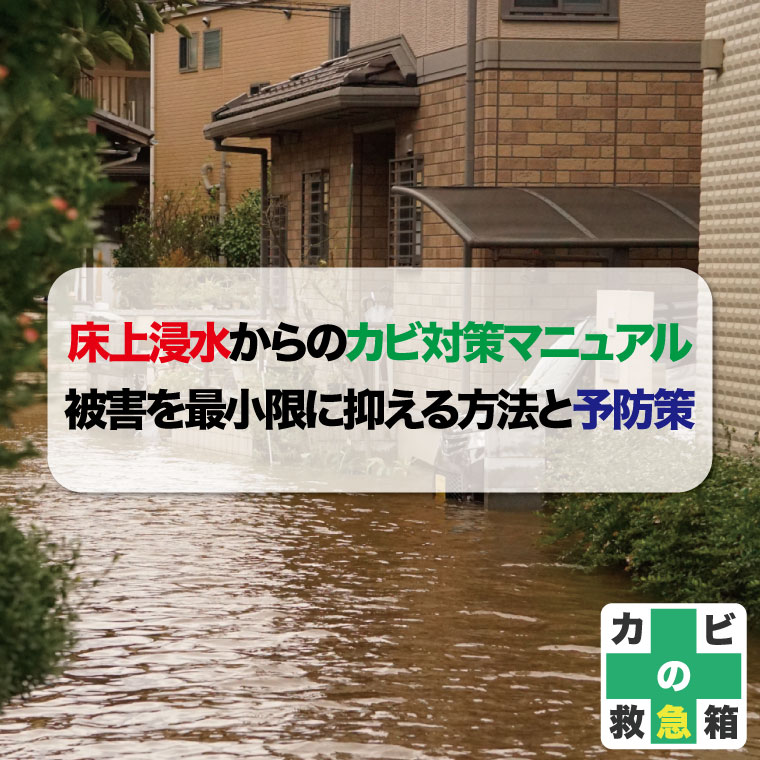 床上浸水からのカビ対策マニュアル:被害を最小限に抑える方法と予防策はカビバスターズ