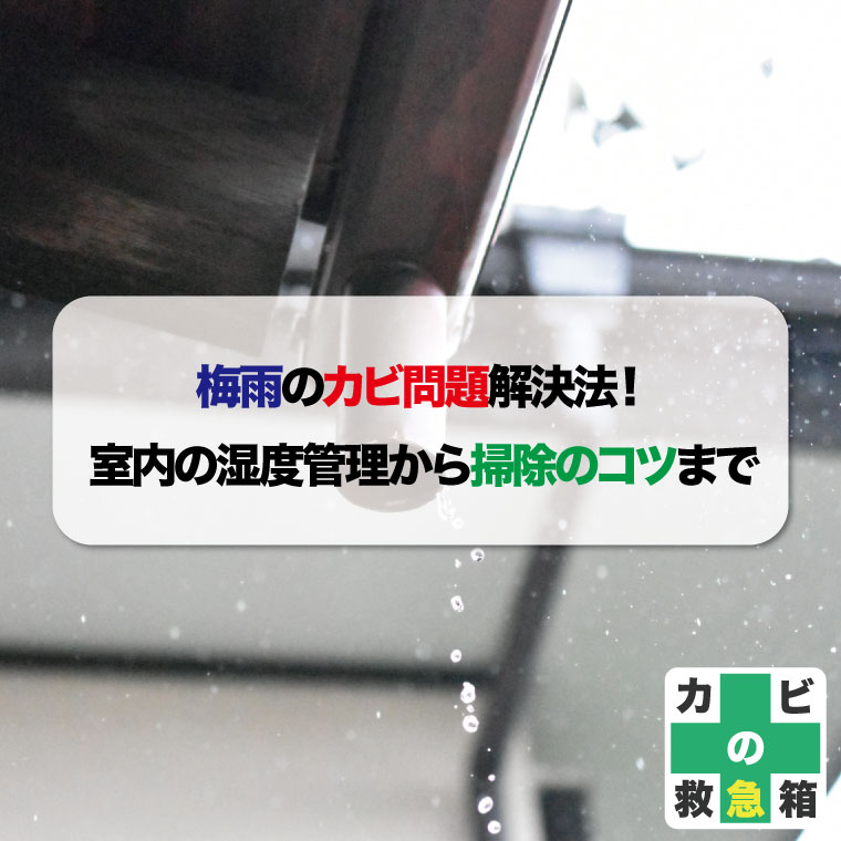 梅雨のカビ問題解決法！室内の湿度管理から掃除のコツまでおすすめのカビ取り業者はカビバスターズ