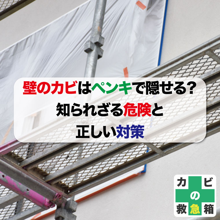 壁のカビはペンキで隠せる?知られざる危険と正しい対策はカビバスターズ