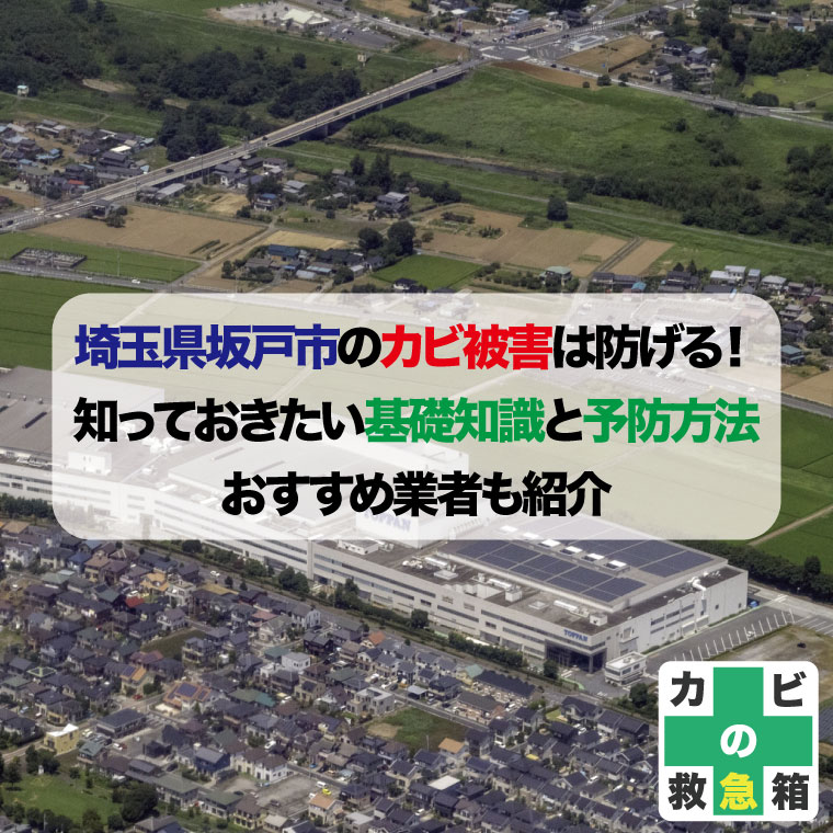 埼玉県坂戸市のカビ被害は防げる！知っておきたい基礎知識と予防方法-おすすめ業者はカビバスターズ