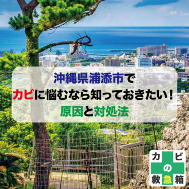 沖縄県浦添市でカビに悩むなら知っておきたい！原因と対処法