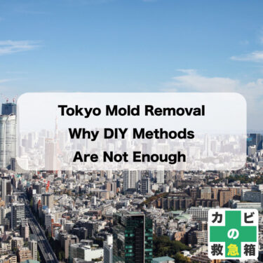 Tokyo Mold Removal: Why DIY Methods Are Not Enough