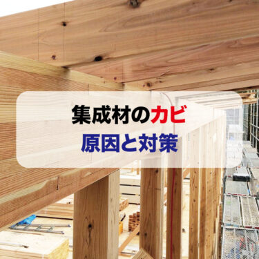 集成材のカビ【発生原因と対策】