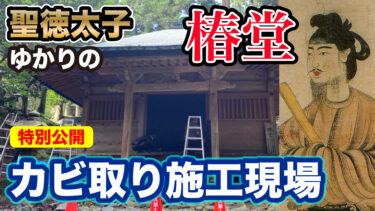 【比叡山延暦寺】歴史的建造物のカビ取り施工動画【椿堂・鐘撞堂】