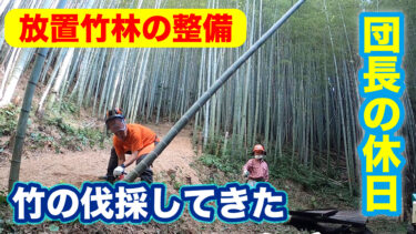 桑名竹取物語事業化協議会【放置竹林整備として竹の伐採のお手伝いをしてきました】