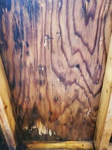 静岡県静岡市の木造住宅のカビ取り・カビ対策