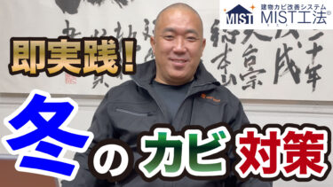 【カビ対策】冬のカビ対策は◯◯【即実践】プロもやってる