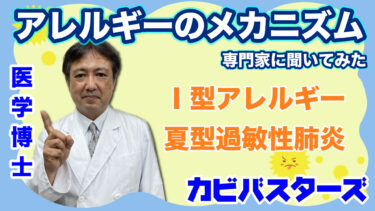 【ハウスダスト】アレルギーのメカニズムを専門家に聞いてみた【夏型過敏性肺炎】