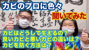 【カビの知識】カビの原因はコレ！【原因と対策と豆知識】