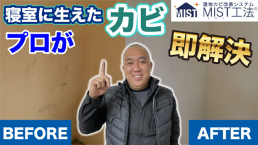 【寝室のカビ取り】お掃除だけではダメ！湿気対策も必要です【プロの技】施工動画