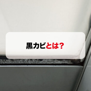 黒カビとは？