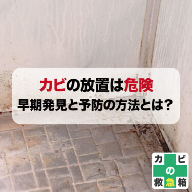 カビの放置は危険！カビに悩むあなたへ。早期発見と予防の方法とは？