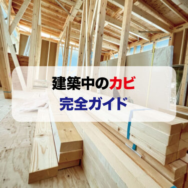 建築中のカビについての完全ガイド：種類、健康被害、予防策、対処法、専門家のアドバイスまで