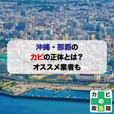 沖縄県那覇市のカビの正体とは？原因と対策-おすすめカビ取り業者も紹介