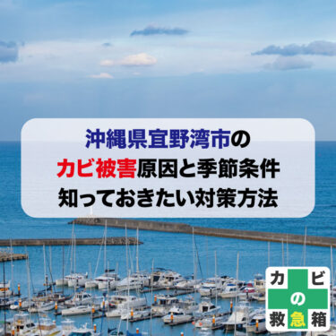 沖縄県宜野湾市のカビ被害原因と季節条件｜知っておきたい対策方法