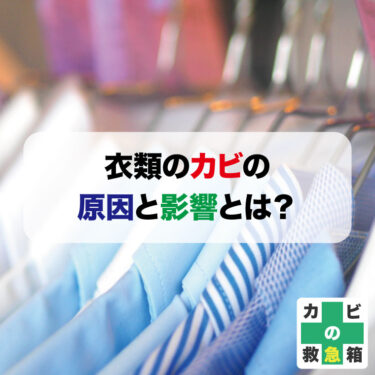 衣類に発生したカビの原因と影響　知っておきたい基礎知識と対策まで