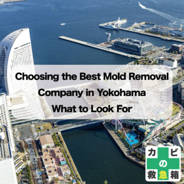 Choosing the Best Mold Removal Company in Yokohama: What to Look For