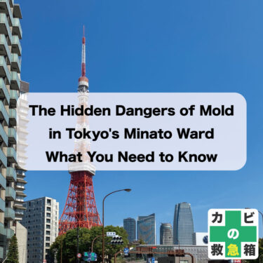 The Hidden Dangers of Mold in Tokyo’s Minato Ward: What You Need to Know